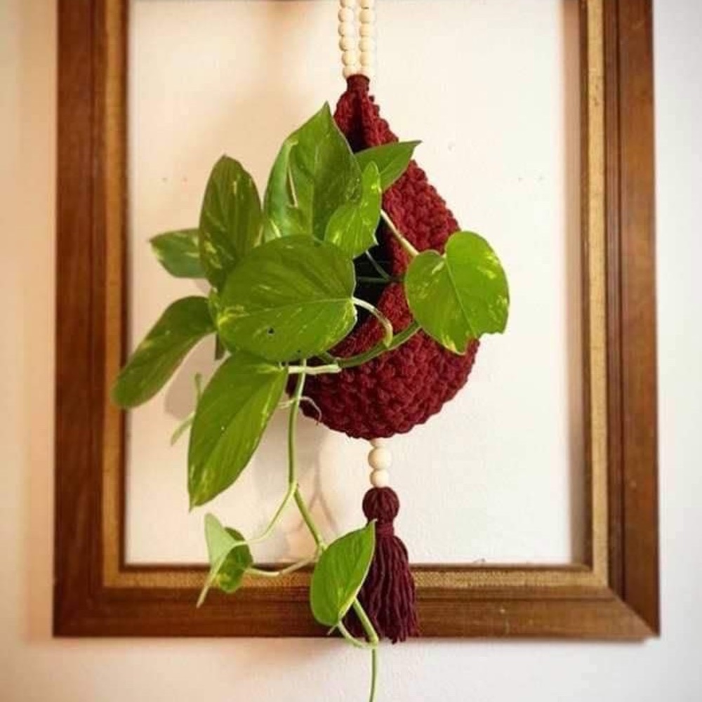 Hanging plant holder